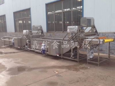 Blueberry cleaning machine