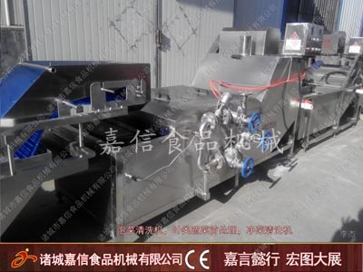 Pickle cleaning machine