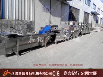 Vegetable cleaning machine
