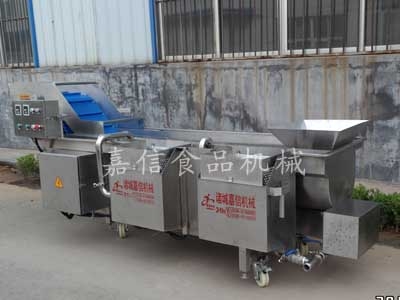 Vegetable washing machine