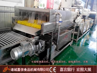 Orange cleaning machine