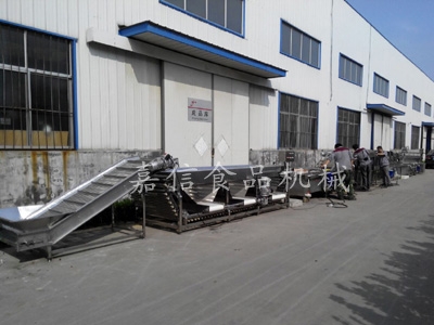 Jujube dry cleaning line
