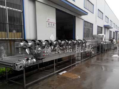 Orange washing and drying machine