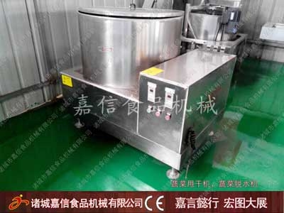 Fruit and vegetable drying machine