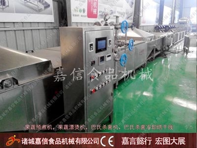 Fruit and vegetable pre cooking machine