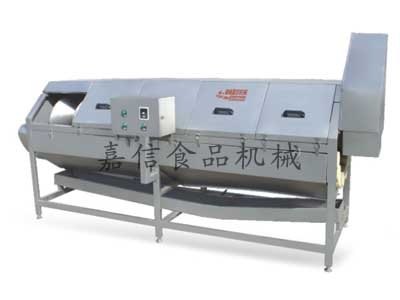 Continuous washing and peeling machine for root and rhizome