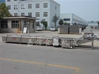 Pepper cleaning machine